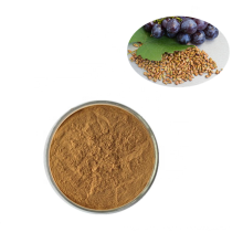 Hot Selling Pure Natural 100% Organic Grape Seed Extract Powder Procyanidins 95%